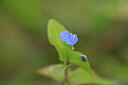 BUITEN BEELD Foto: 444396