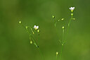BUITEN BEELD Foto: 444401