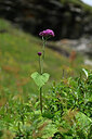 BUITEN BEELD Foto: 444402