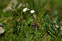 BUITEN BEELD Foto: 444403