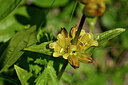 BUITEN BEELD Foto: 444407