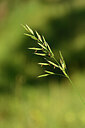 BUITEN BEELD Foto: 444408