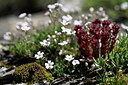 BUITEN BEELD Foto: 444409
