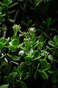 BUITEN BEELD Foto: 444413