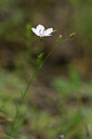 BUITEN BEELD Foto: 444414