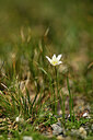 BUITEN BEELD Foto: 444415