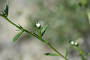 BUITEN BEELD Foto: 444416