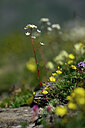 BUITEN BEELD Foto: 444417