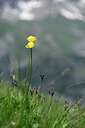BUITEN BEELD Foto: 444418