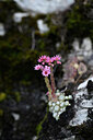 BUITEN BEELD Foto: 444419