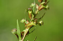BUITEN BEELD Foto: 444422
