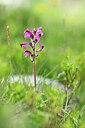 BUITEN BEELD Foto: 444428