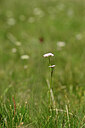 BUITEN BEELD Foto: 444430