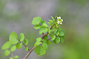 BUITEN BEELD Foto: 444432