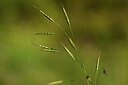 BUITEN BEELD Foto: 444433