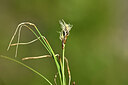 BUITEN BEELD Foto: 444439