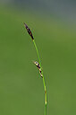 BUITEN BEELD Foto: 444441