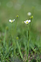 BUITEN BEELD Foto: 444449