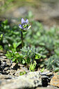 BUITEN BEELD Foto: 444451