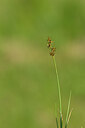 BUITEN BEELD Foto: 444452