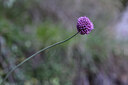 BUITEN BEELD Foto: 444456