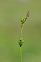 BUITEN BEELD Foto: 444457