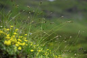 BUITEN BEELD Foto: 444459