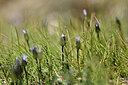 BUITEN BEELD Foto: 444460