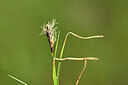 BUITEN BEELD Foto: 444463