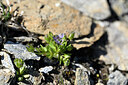 BUITEN BEELD Foto: 444464