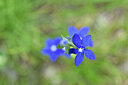 BUITEN BEELD Foto: 444466