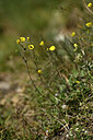BUITEN BEELD Foto: 444470