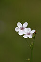 BUITEN BEELD Foto: 444473