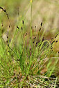 BUITEN BEELD Foto: 444475