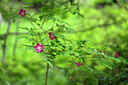 BUITEN BEELD Foto: 444477