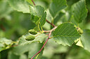 BUITEN BEELD Foto: 444478