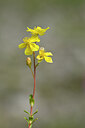 BUITEN BEELD Foto: 444480