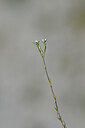 BUITEN BEELD Foto: 444483