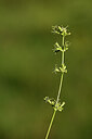 BUITEN BEELD Foto: 444485