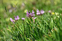 BUITEN BEELD Foto: 444486
