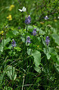 BUITEN BEELD Foto: 444490