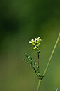 BUITEN BEELD Foto: 444492
