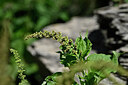 BUITEN BEELD Foto: 444495