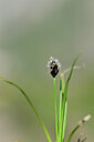 BUITEN BEELD Foto: 444496