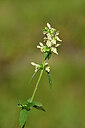 BUITEN BEELD Foto: 444500