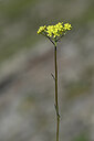 BUITEN BEELD Foto: 444505