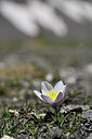 BUITEN BEELD Foto: 444506