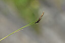 BUITEN BEELD Foto: 444508