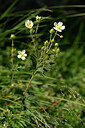 BUITEN BEELD Foto: 444516