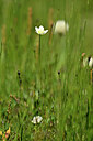 BUITEN BEELD Foto: 444517